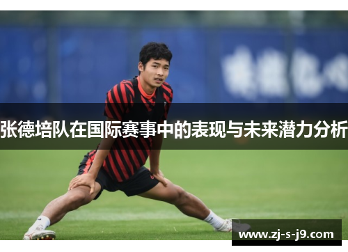 张德培队在国际赛事中的表现与未来潜力分析