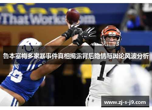 鲁本塞梅多家暴事件真相揭露背后隐情与舆论风波分析